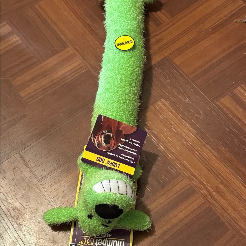 Green Squeaky Dog Toy